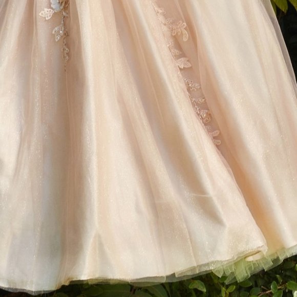 NEW CHUMPAGNE DRESS SWEETHEART NECKLINE LAYERED TULLE BALL GOWN PROM DRESSCD0185 - Picture 4 of 7